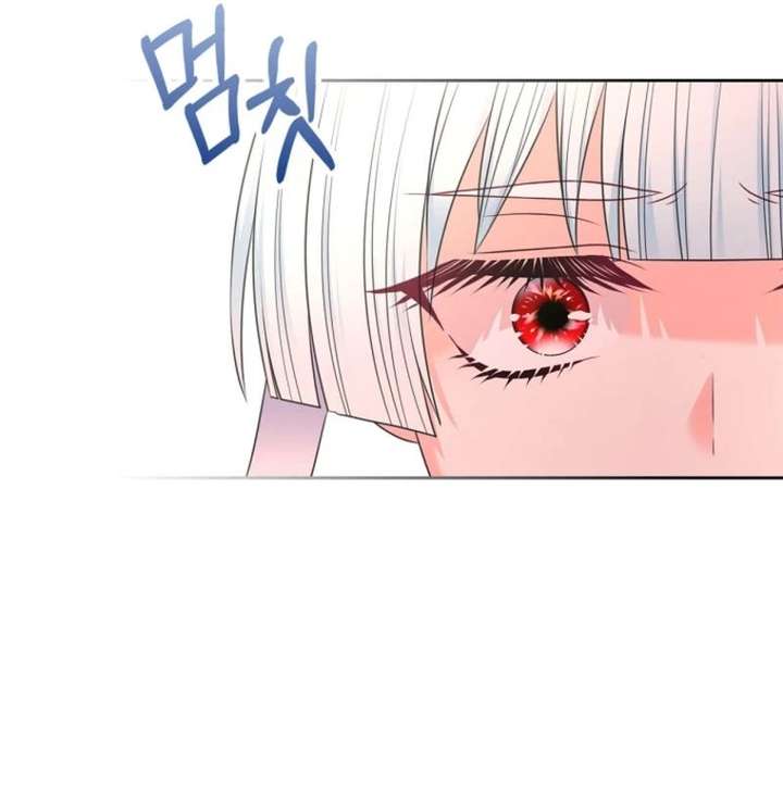 Read I Will Divorce the Female Lead’s Siscon Brother Manga Online
