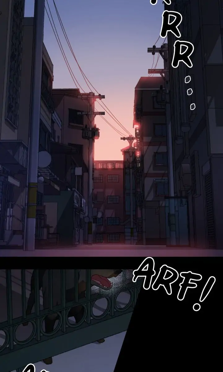Read Insta Girl Manga Online