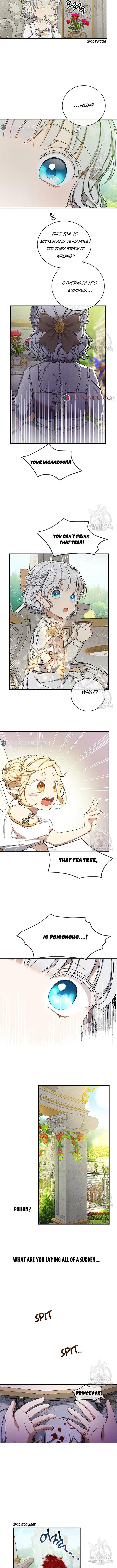 Read Into the light once again Manga Online