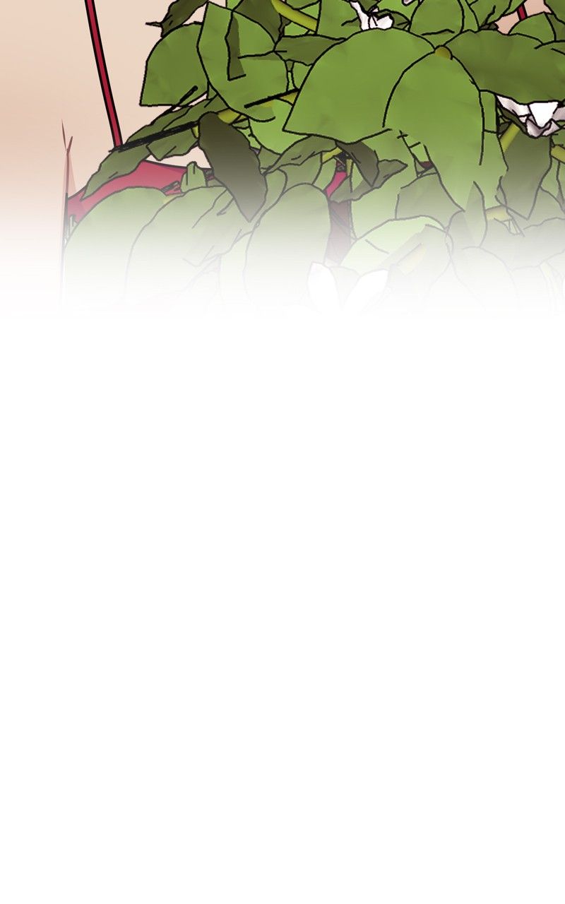 Read Midnight Poppy Land Manga Online
