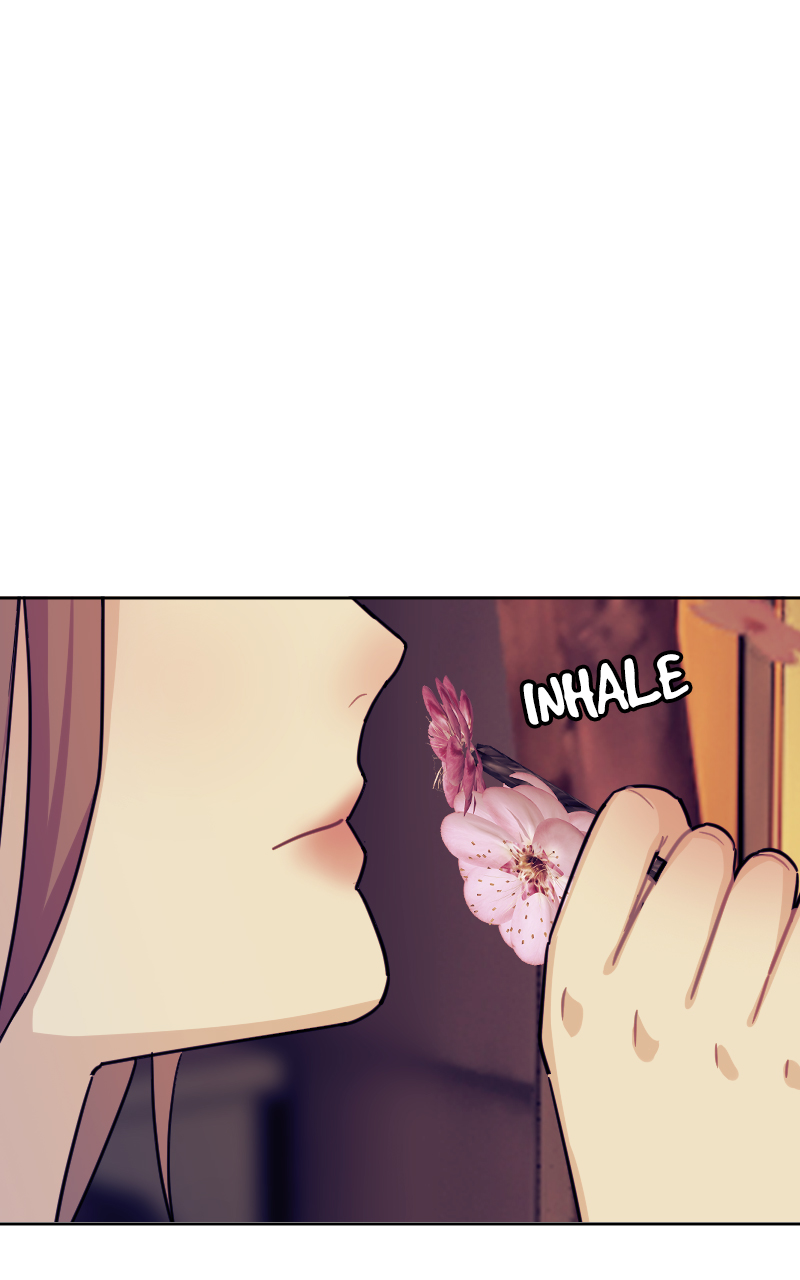 Read Midnight Poppy Land Manga Online