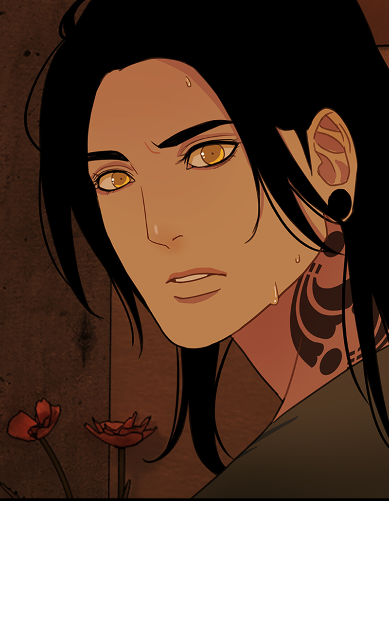 Read Midnight Poppy Land Manga Online