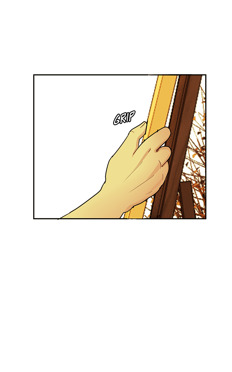 Read Midnight Poppy Land Manga Online