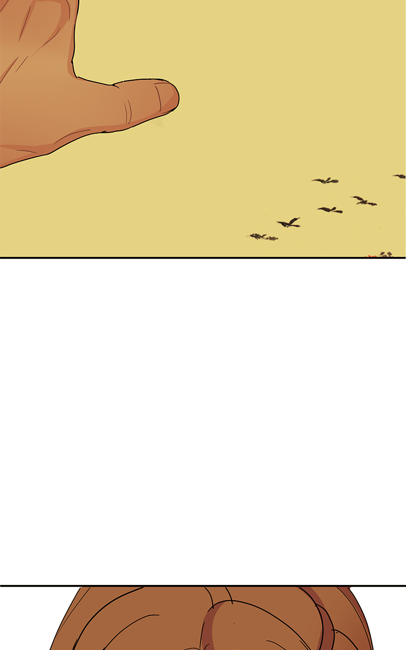 Read Midnight Poppy Land Manga Online