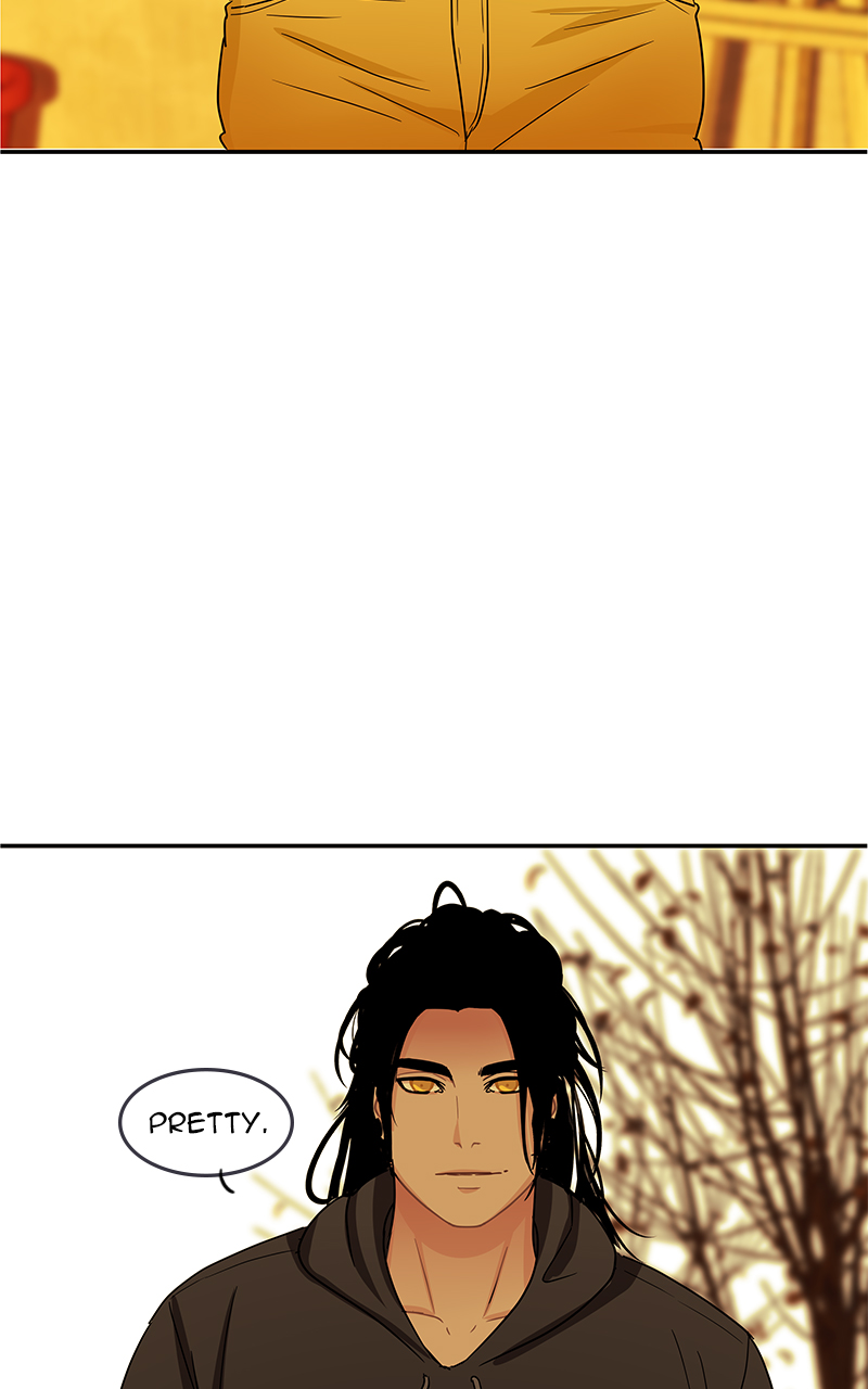 Read Midnight Poppy Land Manga Online