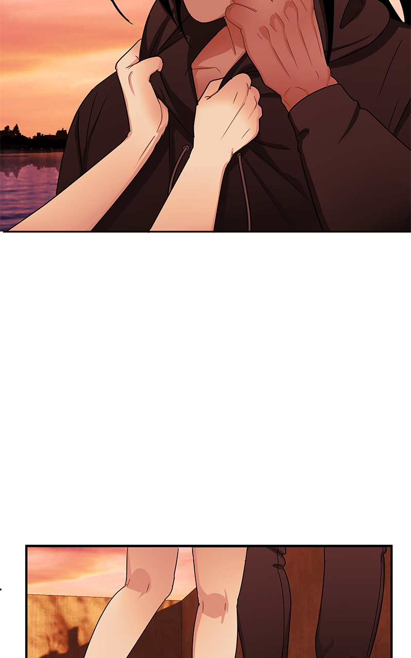 Read Midnight Poppy Land Manga Online