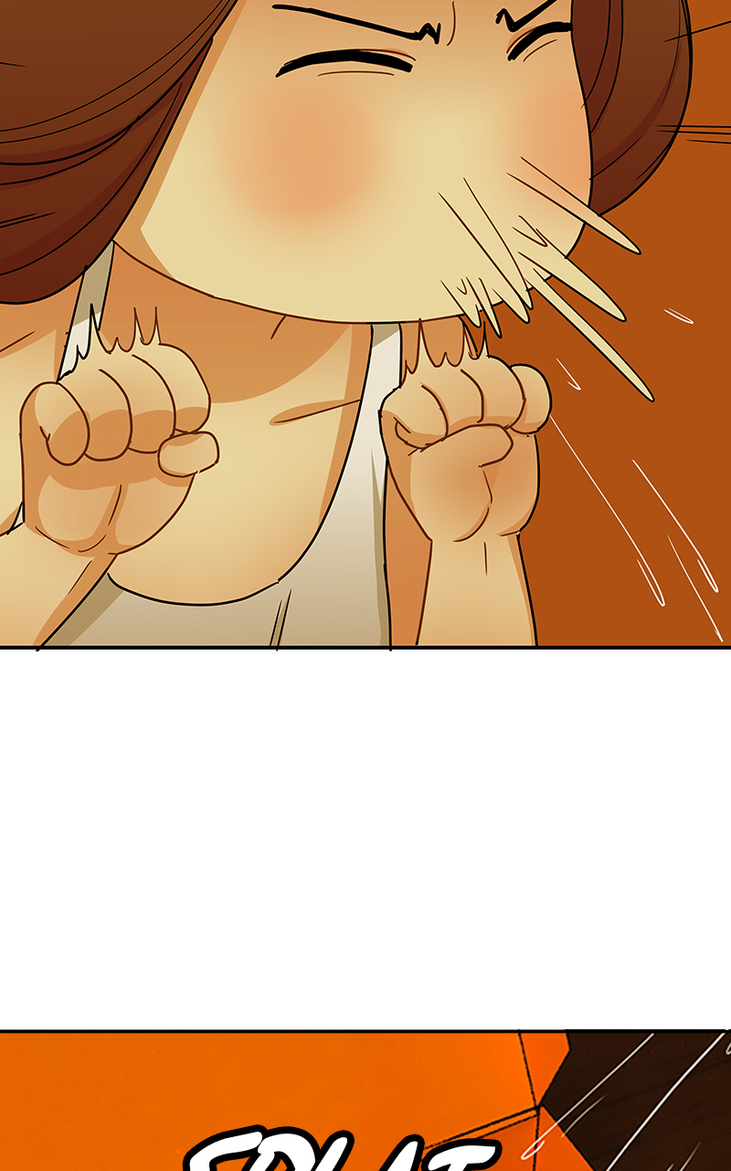 Read Midnight Poppy Land Manga Online