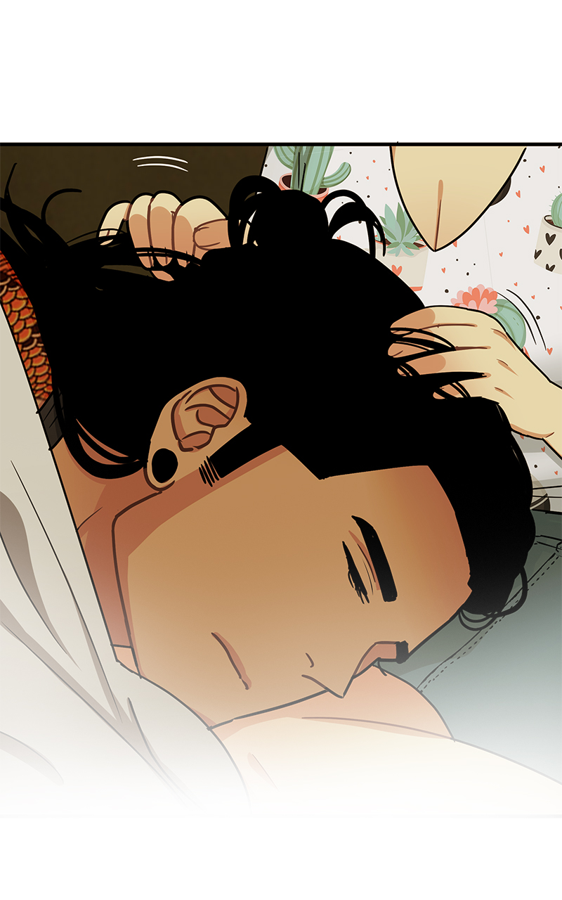 Read Midnight Poppy Land Manga Online
