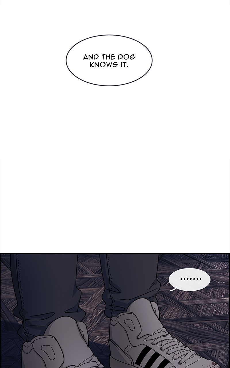 Read Midnight Poppy Land Manga Online
