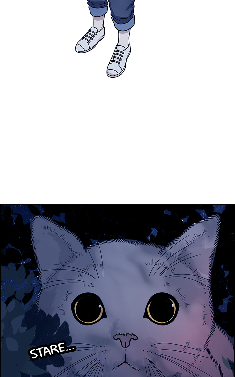 Read Midnight Poppy Land Manga Online