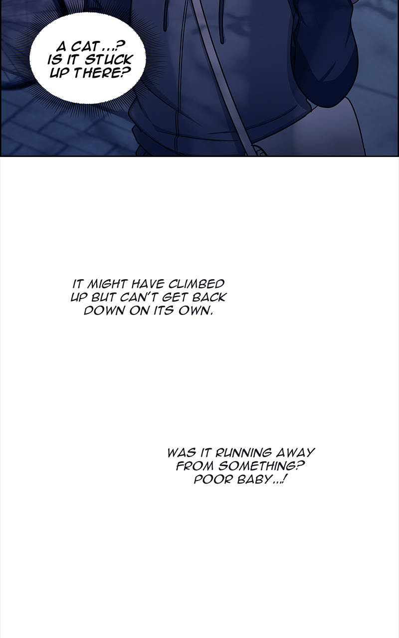 Read Midnight Poppy Land Manga Online