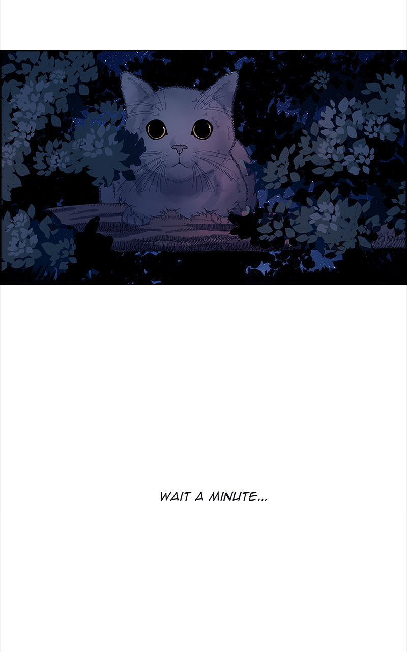 Read Midnight Poppy Land Manga Online