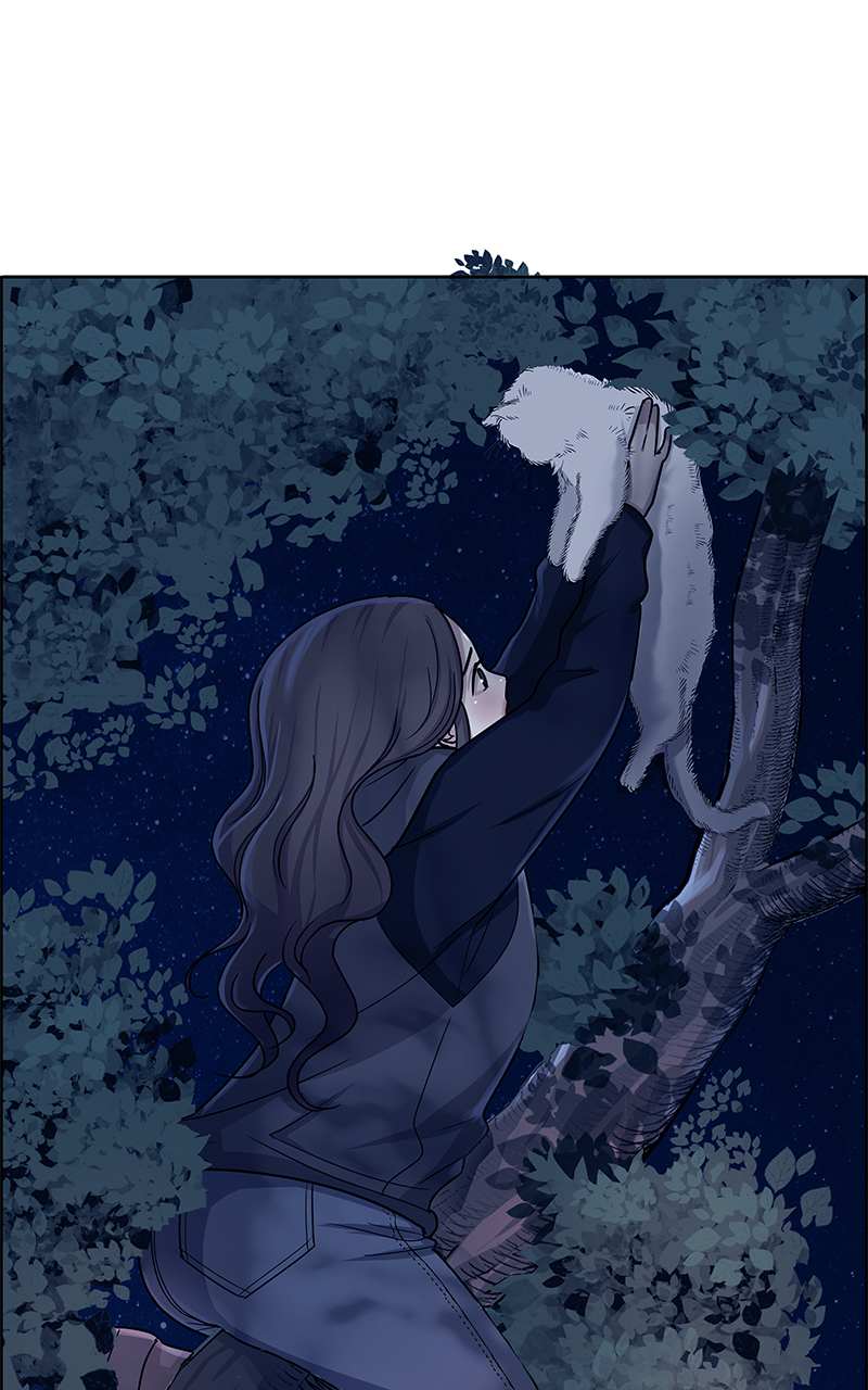 Read Midnight Poppy Land Manga Online