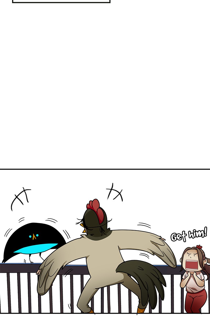 Read Midnight Poppy Land Manga Online