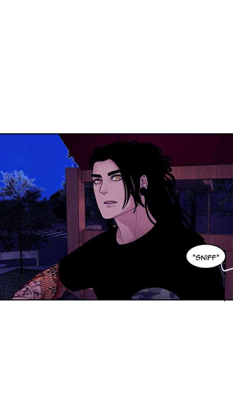 Read Midnight Poppy Land Manga Online