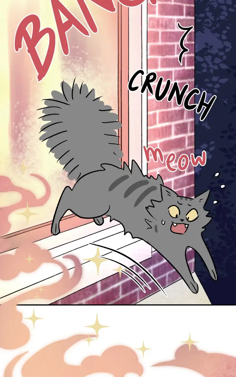 Read Morgana And Oz Manga Online