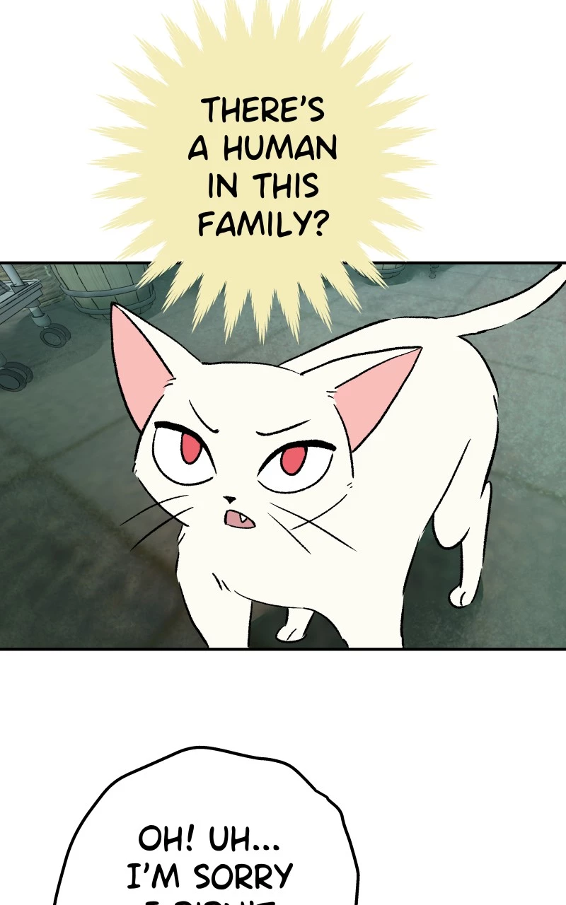 Read Morgana And Oz Manga Online