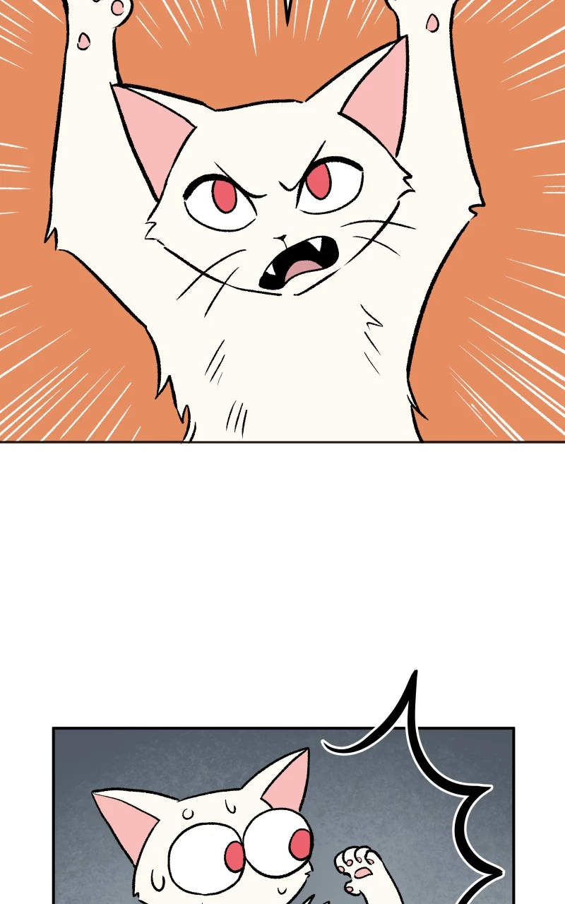 Read Morgana And Oz Manga Online
