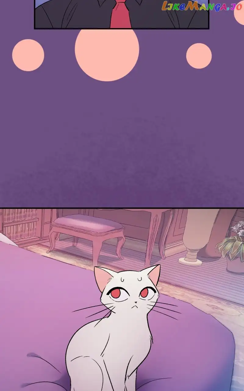 Read Morgana And Oz Manga Online