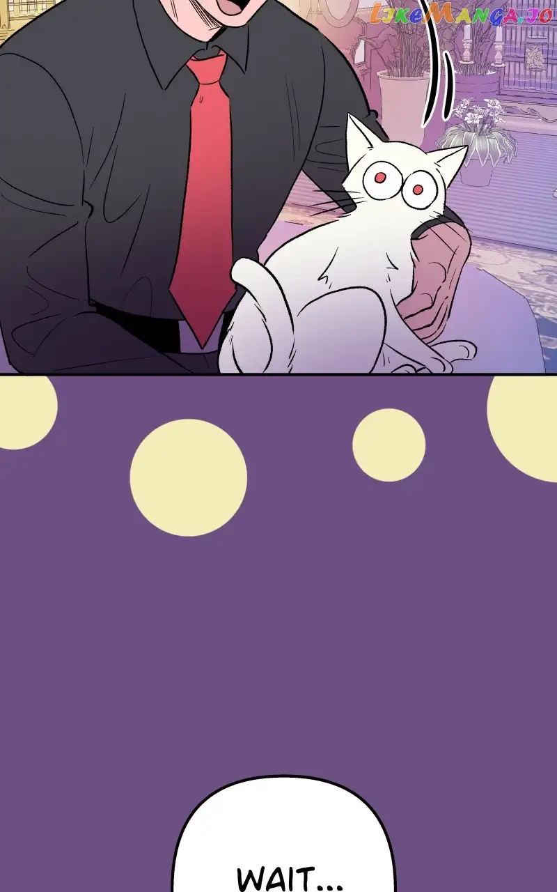 Read Morgana And Oz Manga Online