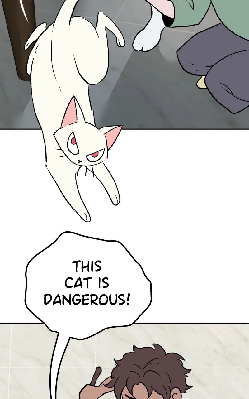 Read Morgana And Oz Manga Online