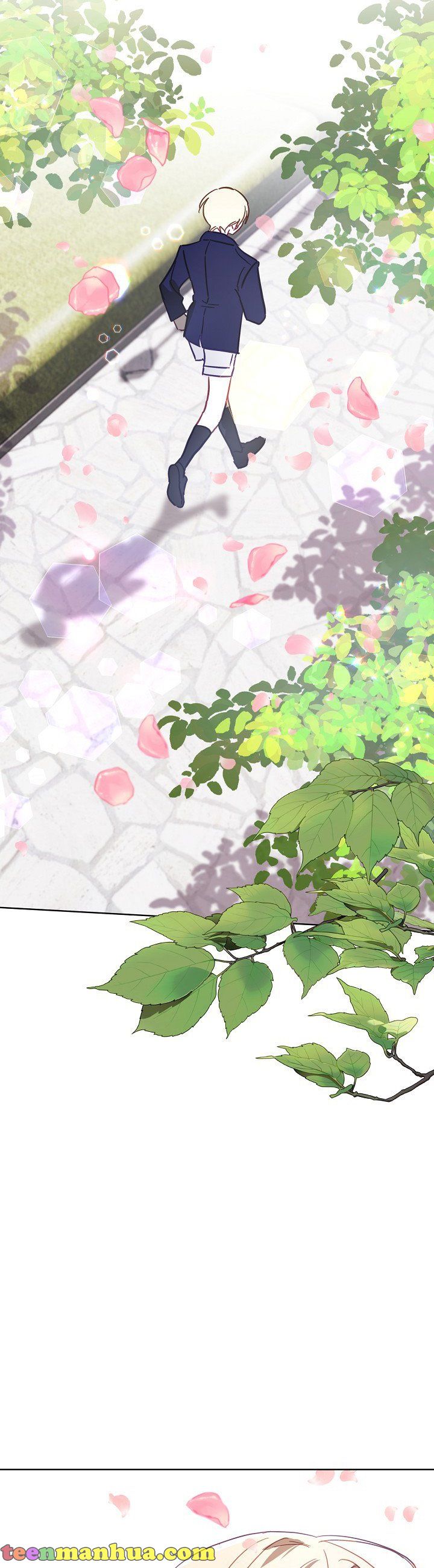 Read My Failing Divorce Manga Online