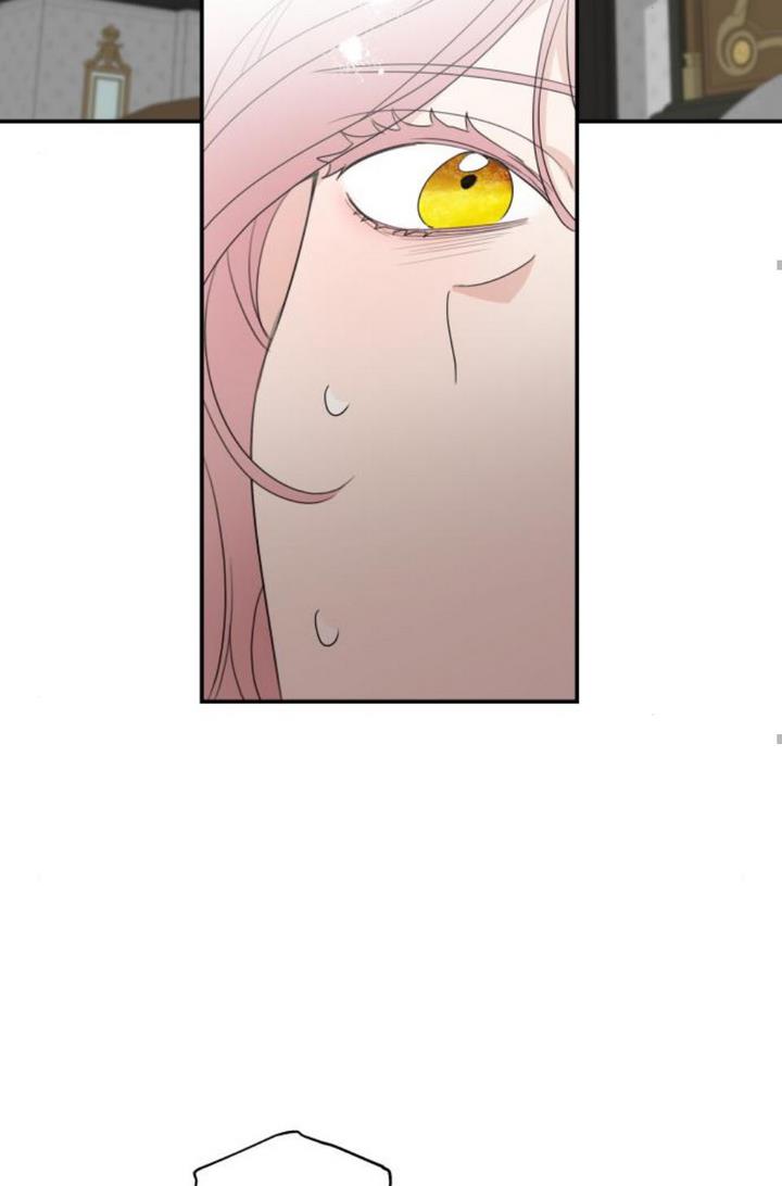 Read My In-laws are Obsessed With Me Manga Online