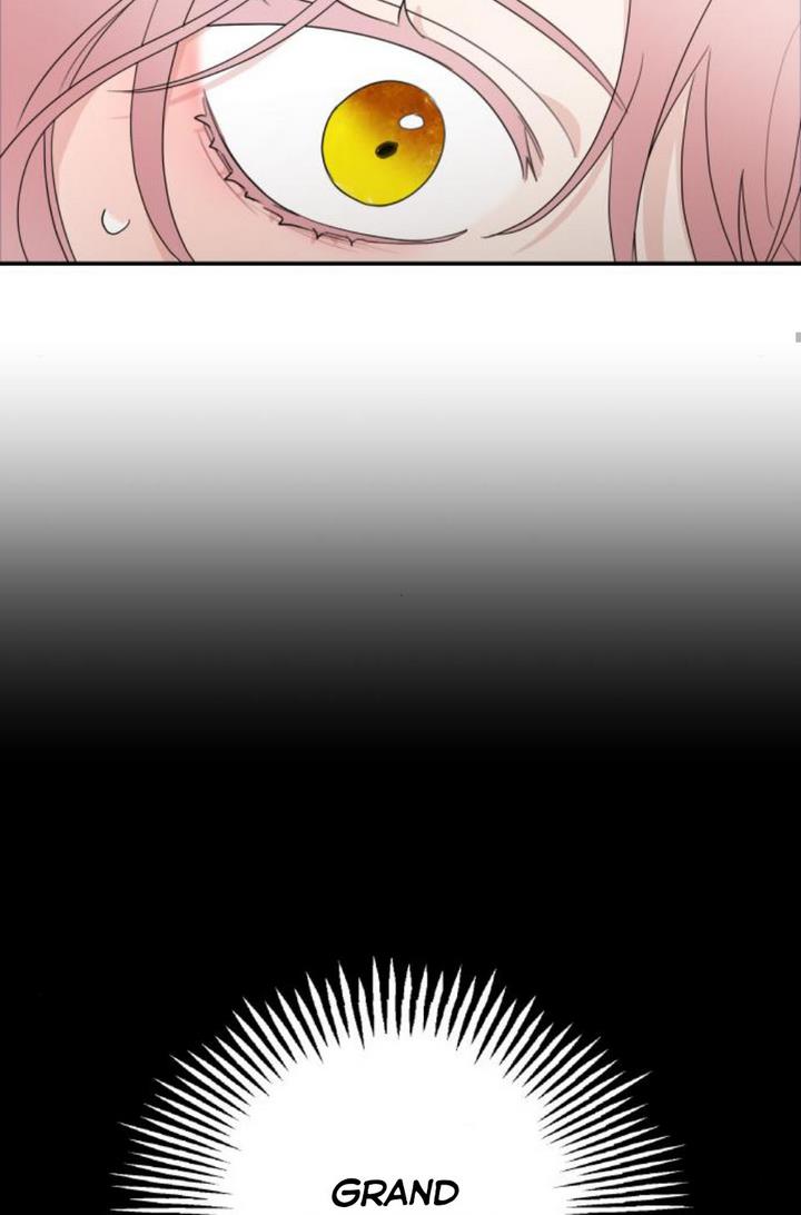 Read My In-laws are Obsessed With Me Manga Online