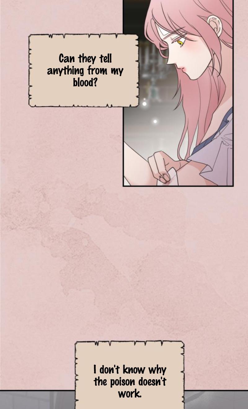Read My In-laws are Obsessed With Me Manga Online