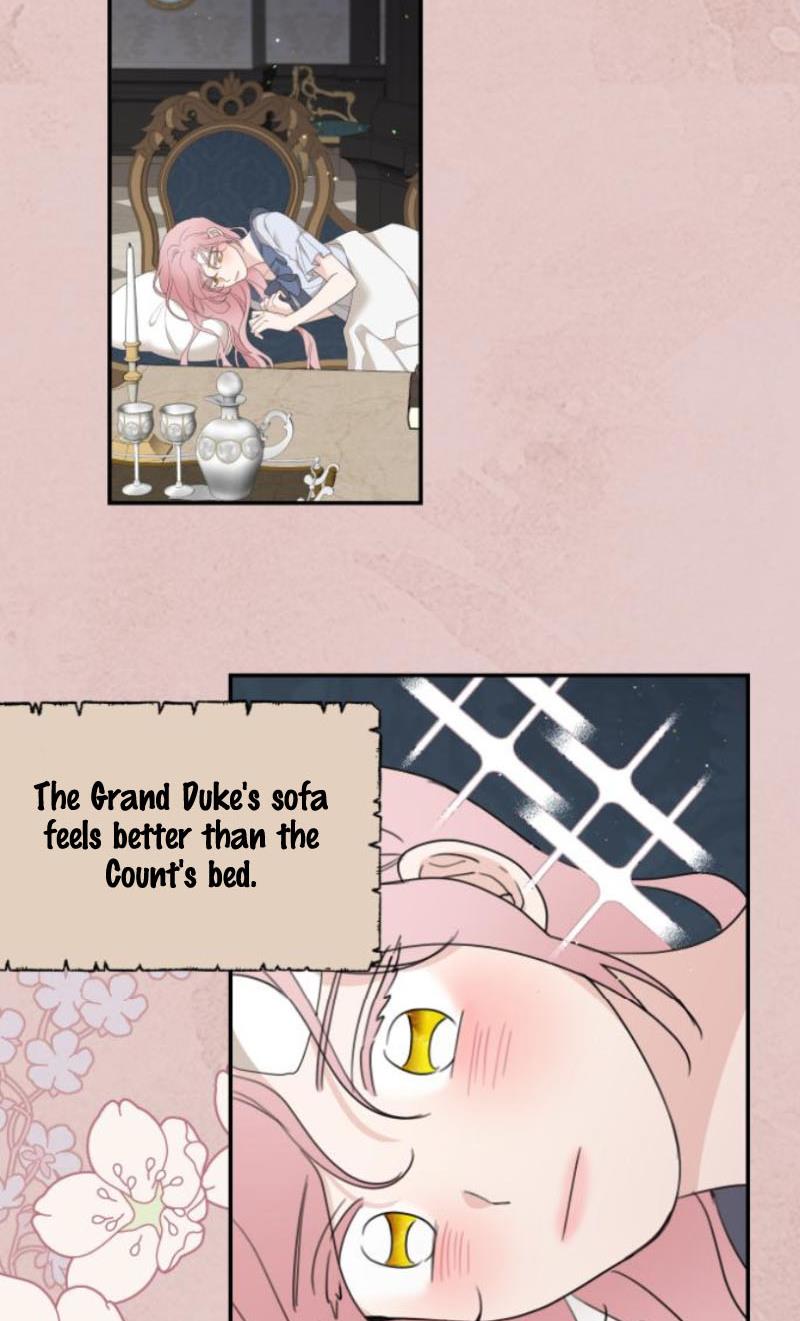 Read My In-laws are Obsessed With Me Manga Online