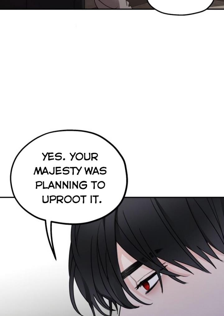 Read My In-laws are Obsessed With Me Manga Online