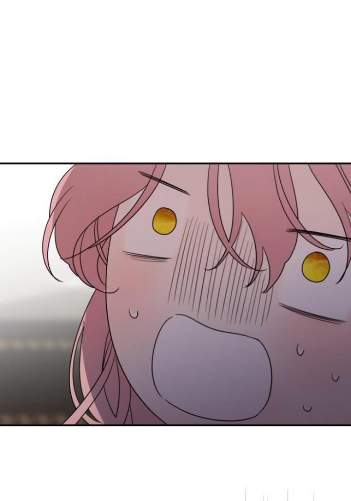 Read My In-laws are Obsessed With Me Manga Online