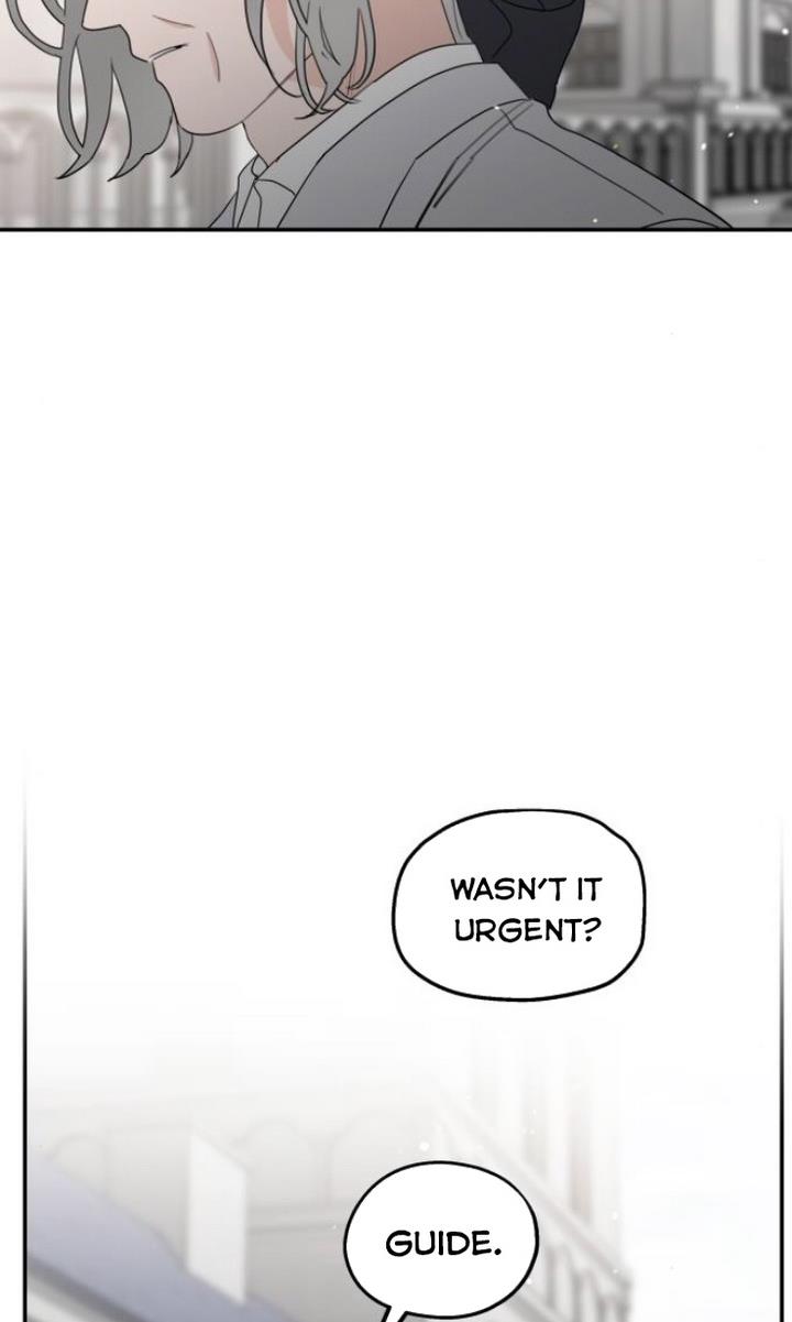 Read My In-laws are Obsessed With Me Manga Online