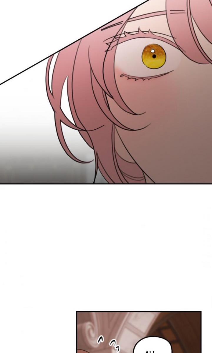 Read My In-laws are Obsessed With Me Manga Online