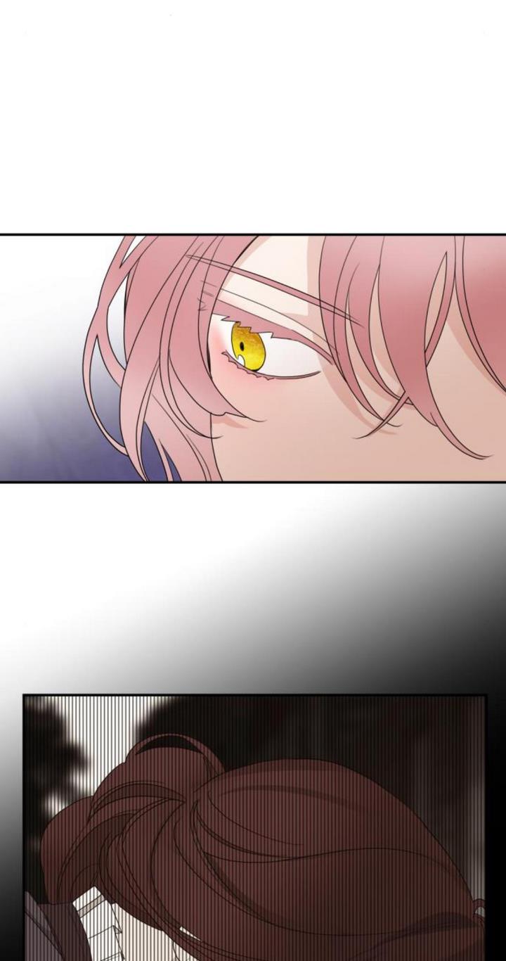 Read My In-laws are Obsessed With Me Manga Online