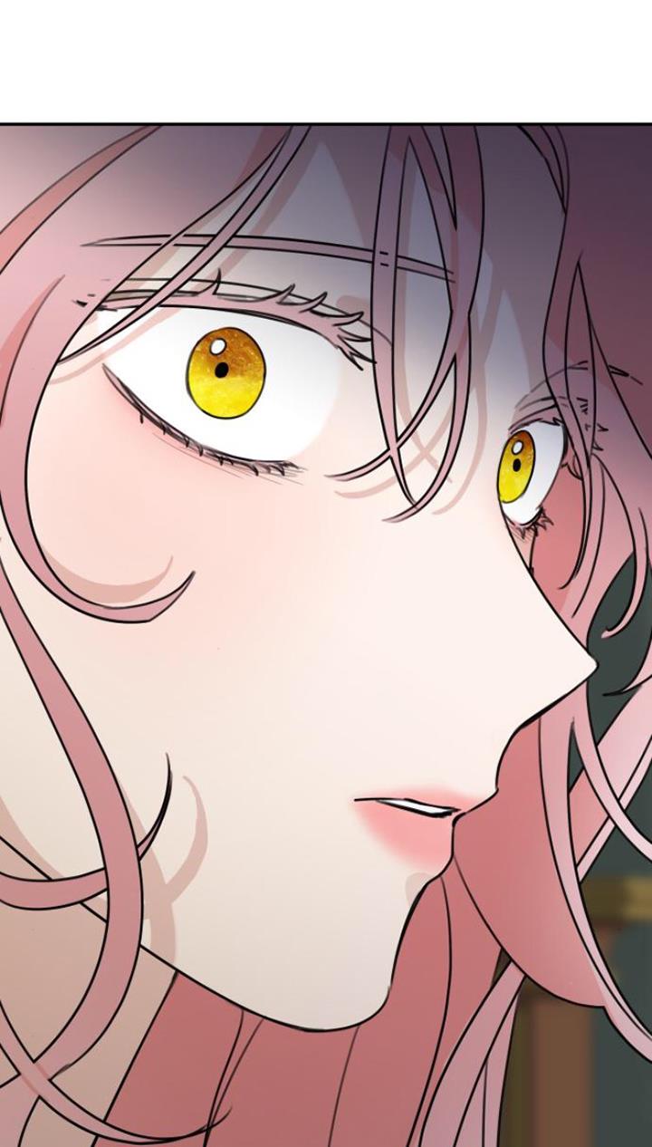 Read My In-laws are Obsessed With Me Manga Online