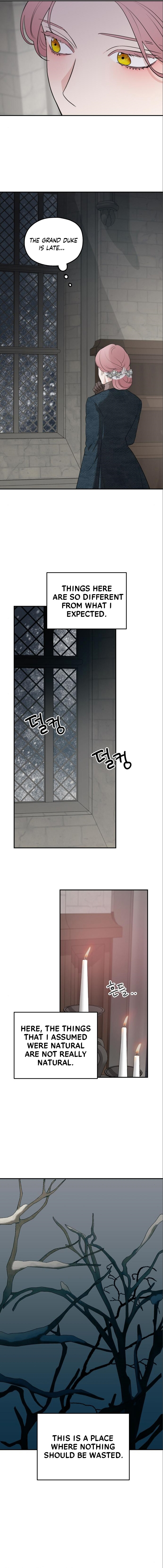 Read My In-laws are Obsessed With Me Manga Online