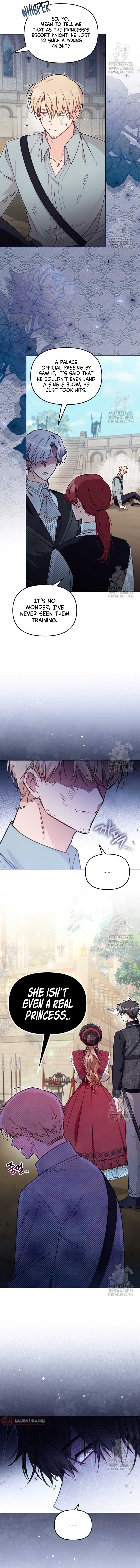 Read No Place for the Fake Princess Manga Online