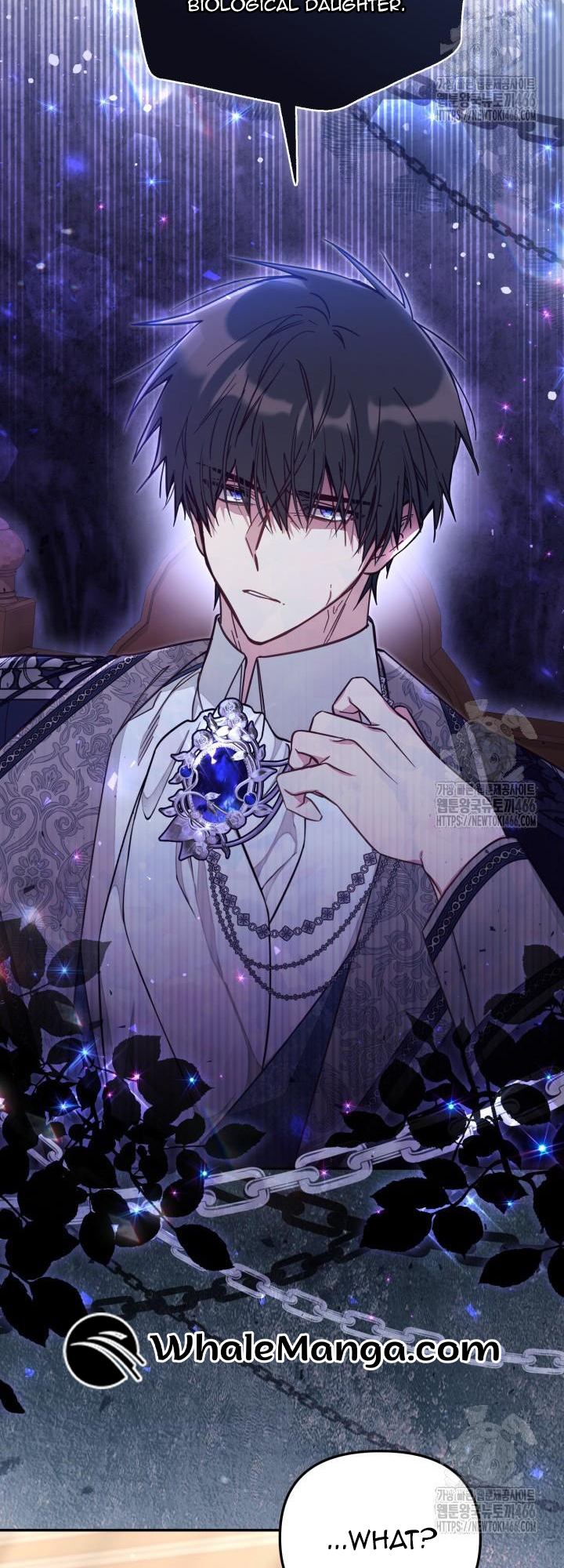 Read No Place for the Fake Princess Manga Online
