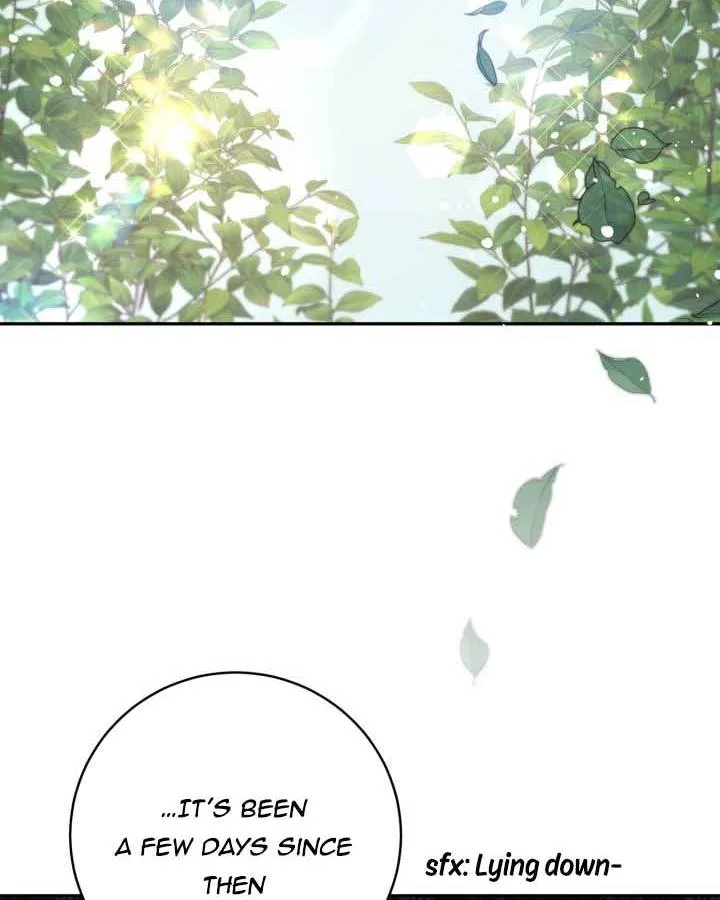 Read No Place for the Fake Princess Manga Online