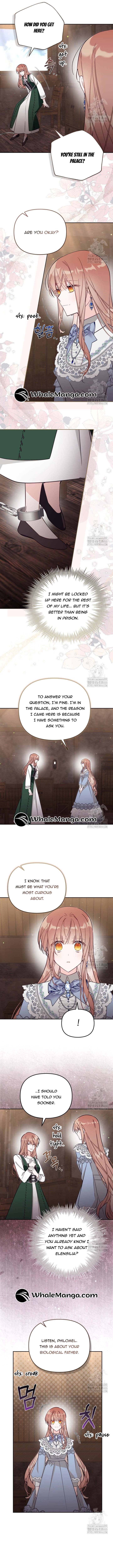 Read No Place for the Fake Princess Manga Online