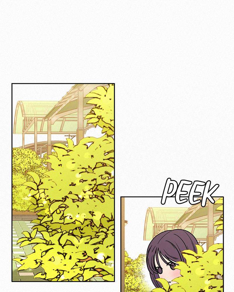 Read Operation True Love Manga Online