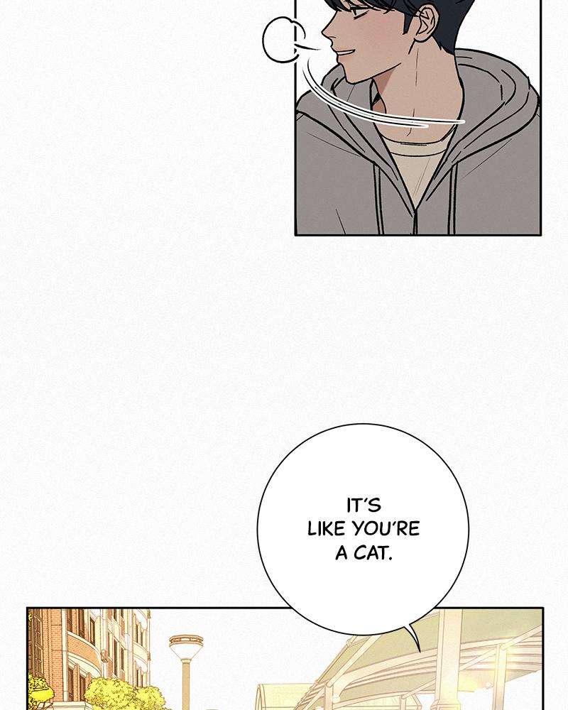 Read Operation True Love Manga Online