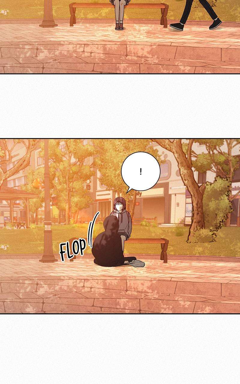 Read Operation True Love Manga Online