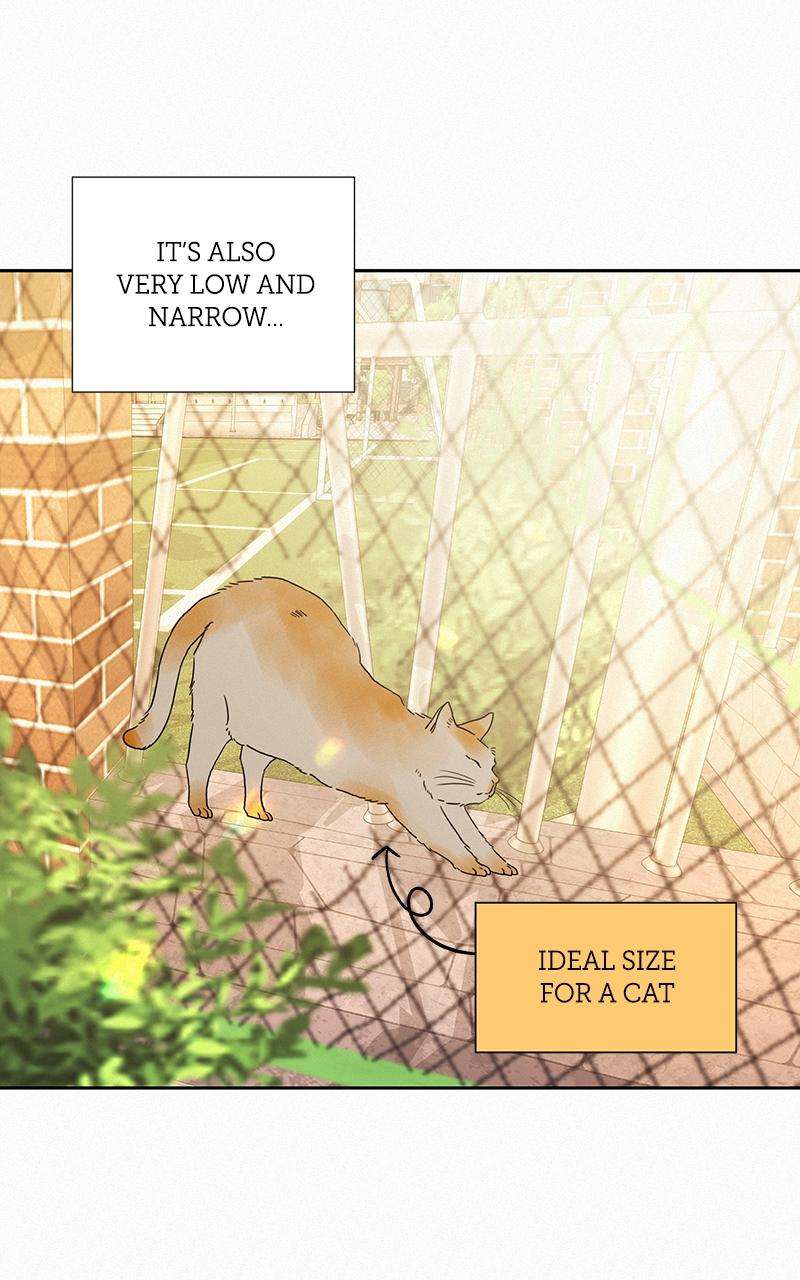 Read Operation True Love Manga Online