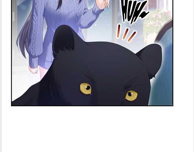 Read Perfect Secret Love The Bad New Wife is a Little Sweet Manga Online