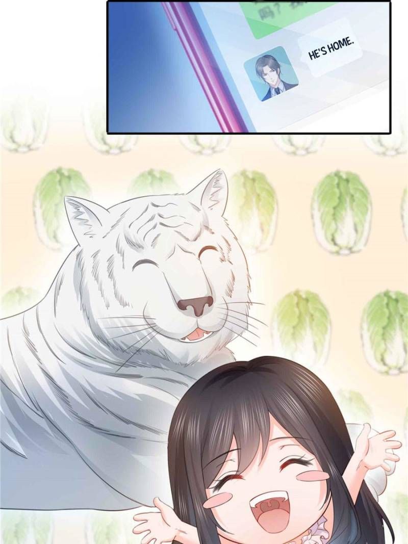 Read Perfect Secret Love The Bad New Wife is a Little Sweet Manga Online