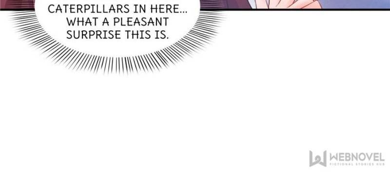 Read Perfect Secret Love The Bad New Wife is a Little Sweet Manga Online