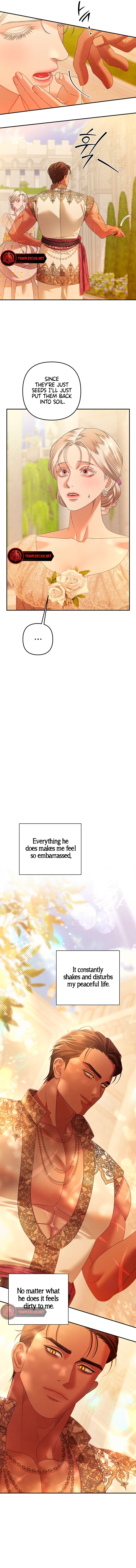 Read Predatory Marriage Manga Online