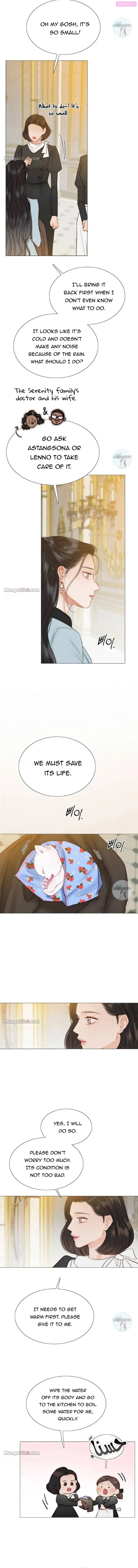 Read Selena Manga Online